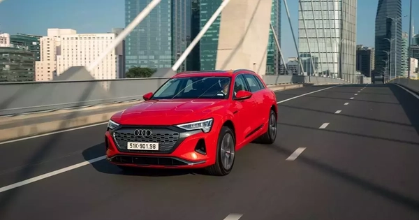 Cặp đôi xe điện hạng sang Audi e-tron và Q8 e-tron bị triệu hồi tại Việt Nam vì lỗi bộ trợ lực phanh